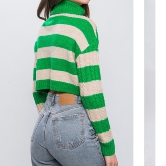 Striped Cropped Turtleneck Sweater - Picture 2 of 9